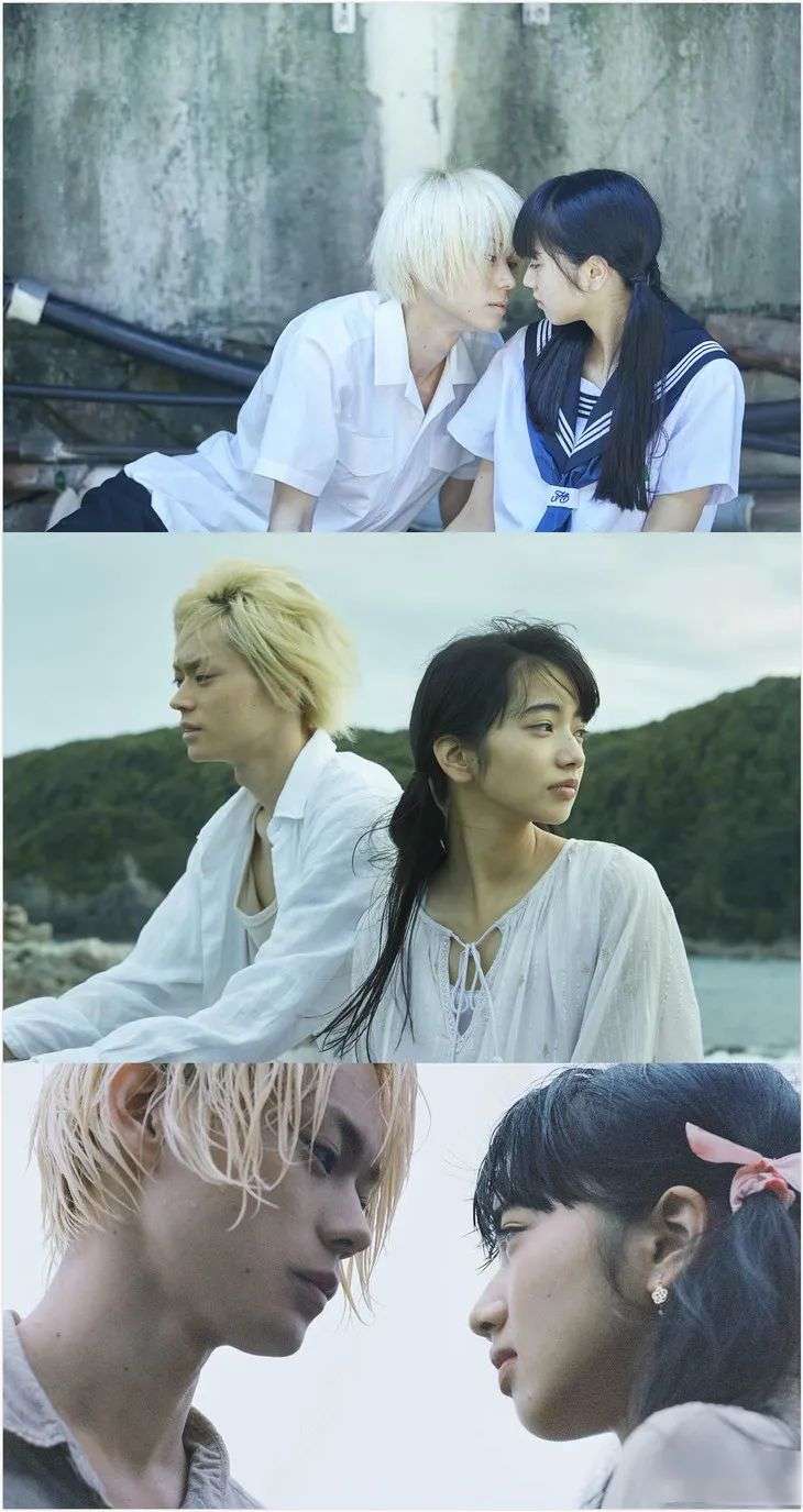 嗑到真的是什么感受 小松菜奈和菅田将晖的粉丝知道 知乎