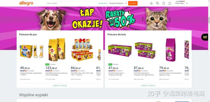 【深入了解】波兰Allegro平台到底怎么样？