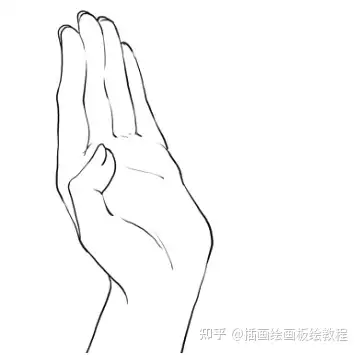 从鸡爪到芊芊素手动漫手部画法教学教你怎么画出好看的手部
