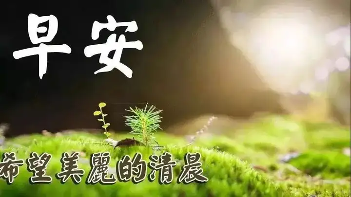 早晨好问候语录暖心句子送给你，清晨慰问朋友的早上好祝福句子（早上问候朋友的祝福语）
