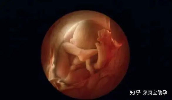 广州三代试管医院（什么是试管婴儿）