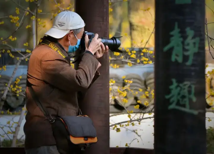 快来看（莘庄赏梅习俗非遗）莘庄梅园可以观赏到梅花吗多少钱 第7张