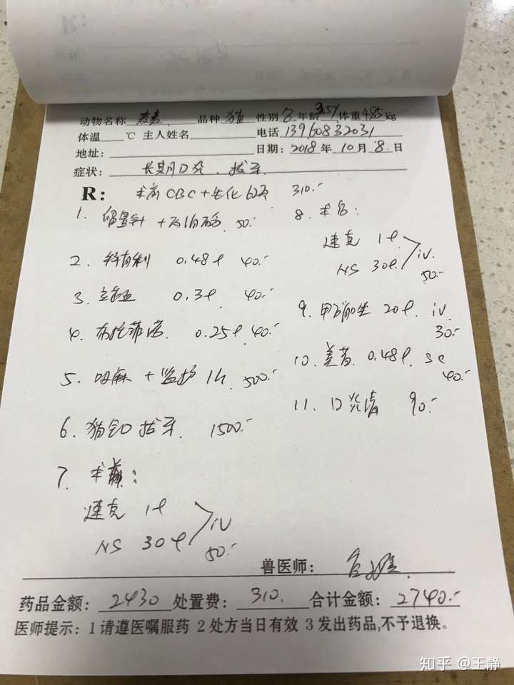 流浪猫得了口炎怎么帮他治疗