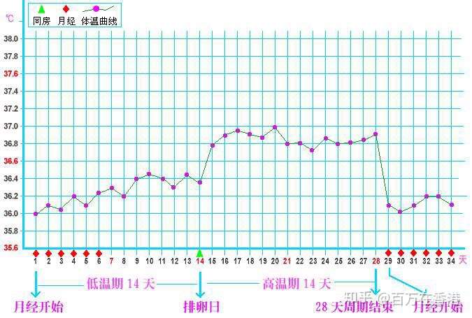 有哪些关于两性健康的冷知识?插图(5) 有哪些关于两性健康的冷知识?插图(5)
