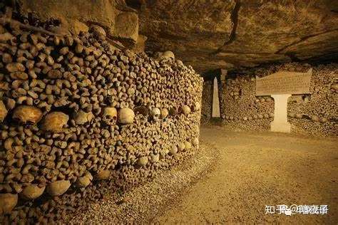 巴黎地下迷城 Catacombes De Paris 知乎