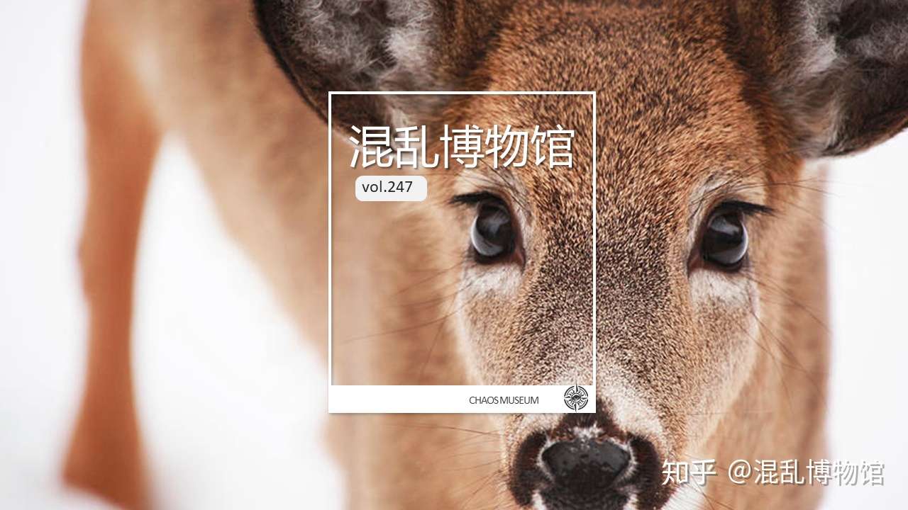 配图 食草动物才不是吃素的丨混乱博物馆 知乎