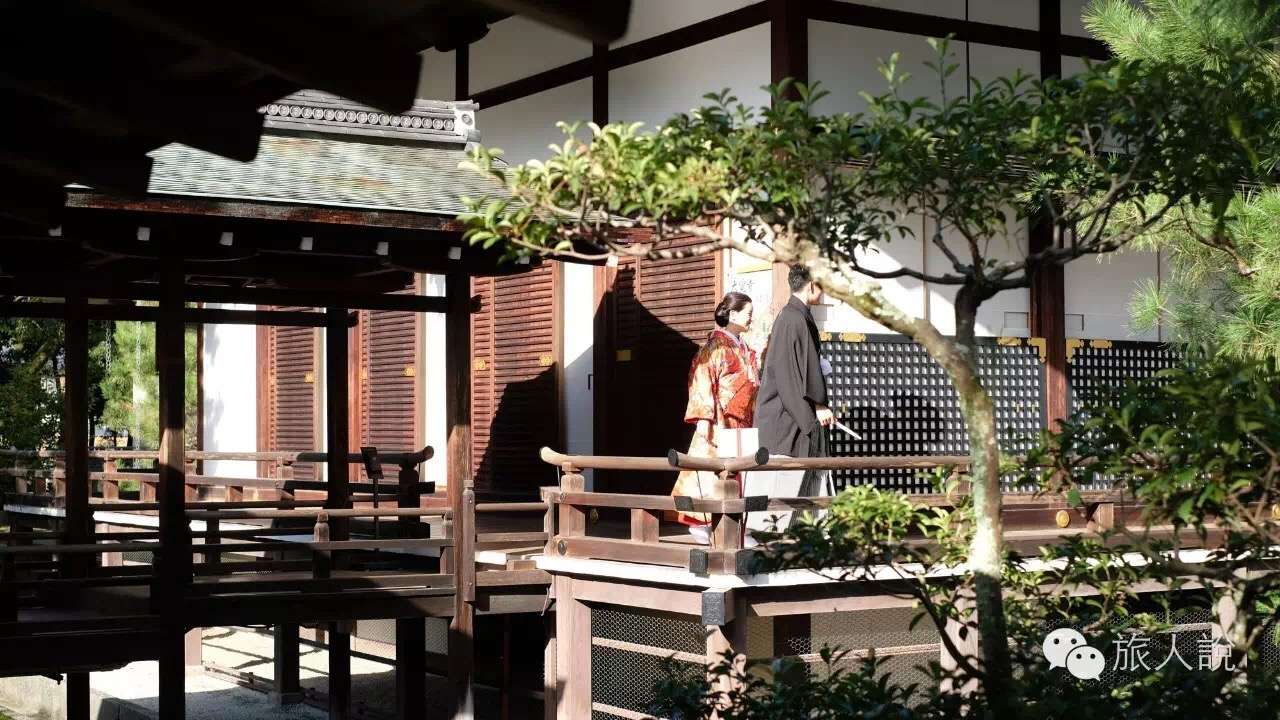 京都的治愈呵 都在那些极小的片段里 知乎