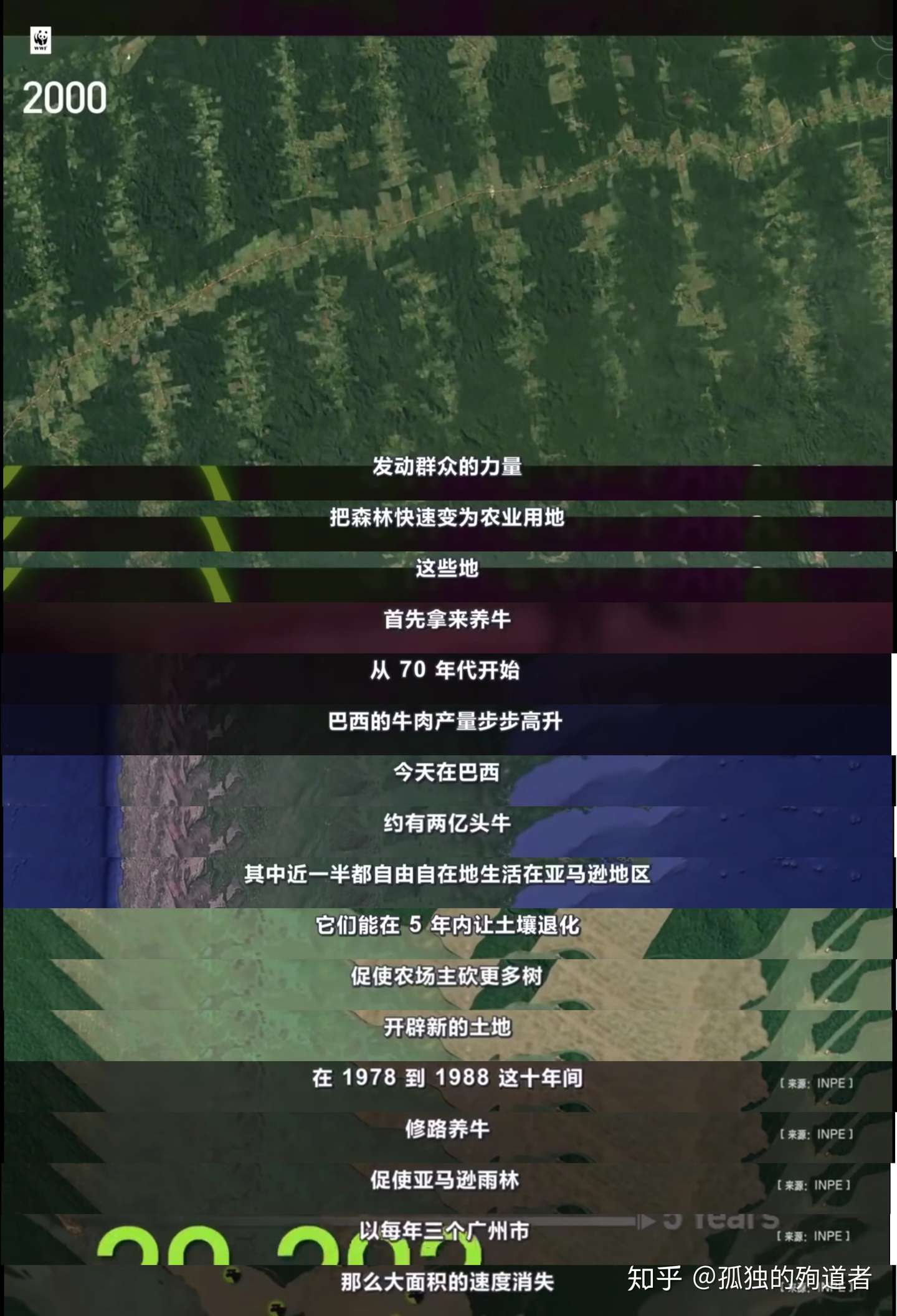 吃肉等于破坏雨林 回形针的盗梦空间 知乎 吃肉等于破坏雨林 回形针的盗梦空间 知乎