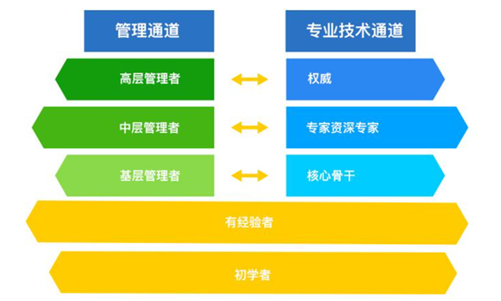 零基础大学生学软件开发好还是学习软件测试好_www.itpxw.cn