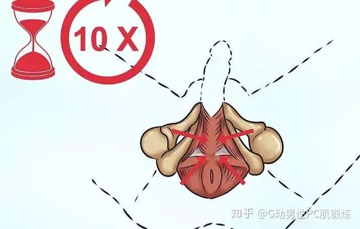 怎么锻炼pc肌真的有用吗