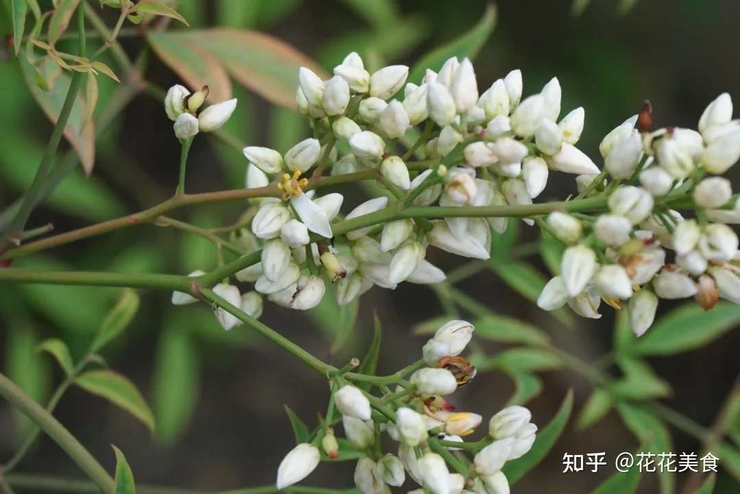 回顾一下六月花况 知乎 回顾一下六月花况 知乎