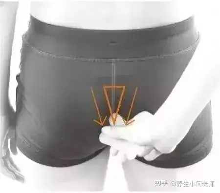 消除疲劳 恢复精力的第一要穴 你一定要知道 知乎