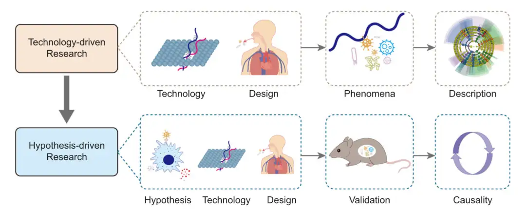 iMeta | 北大陈峰组综述口腔微生物组的标准化研究：从技术驱动到假说 