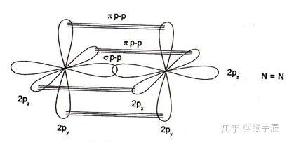 氮原子轨道示意图图片