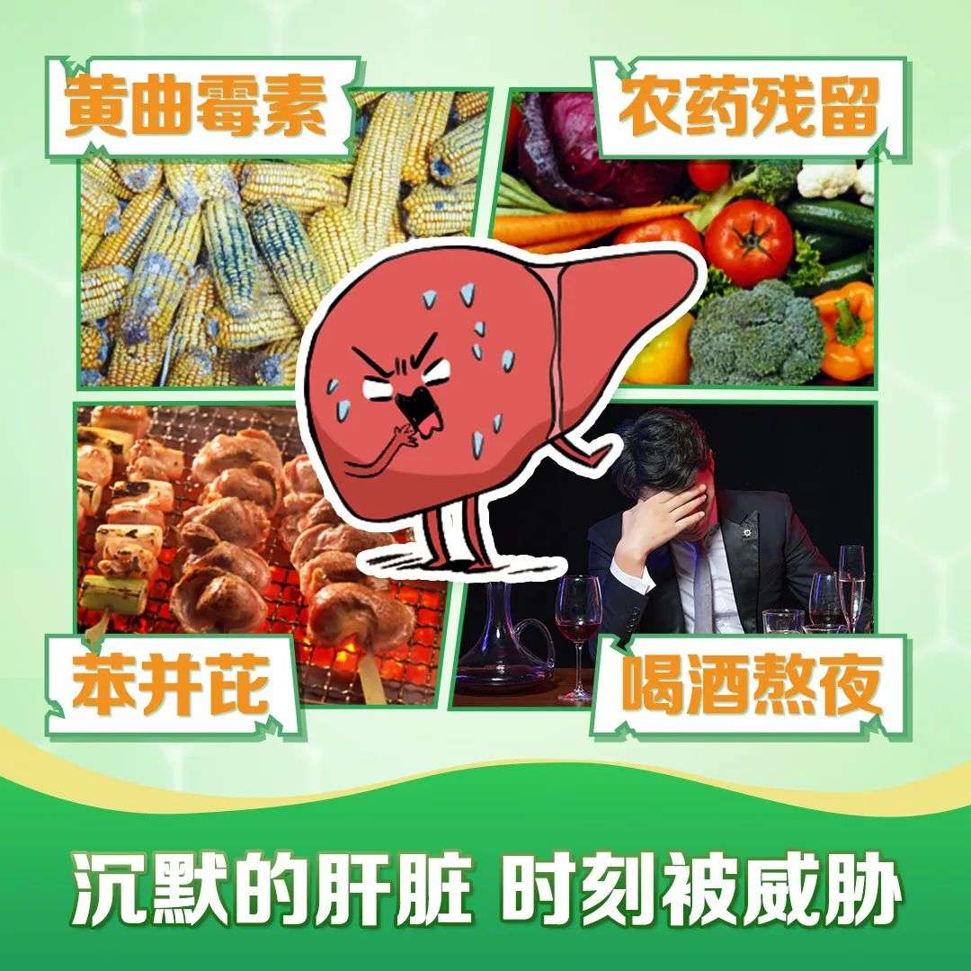 为什么春季适合养肝 哪些生活习惯会伤肝 日常如何科学养肝护肝 知乎