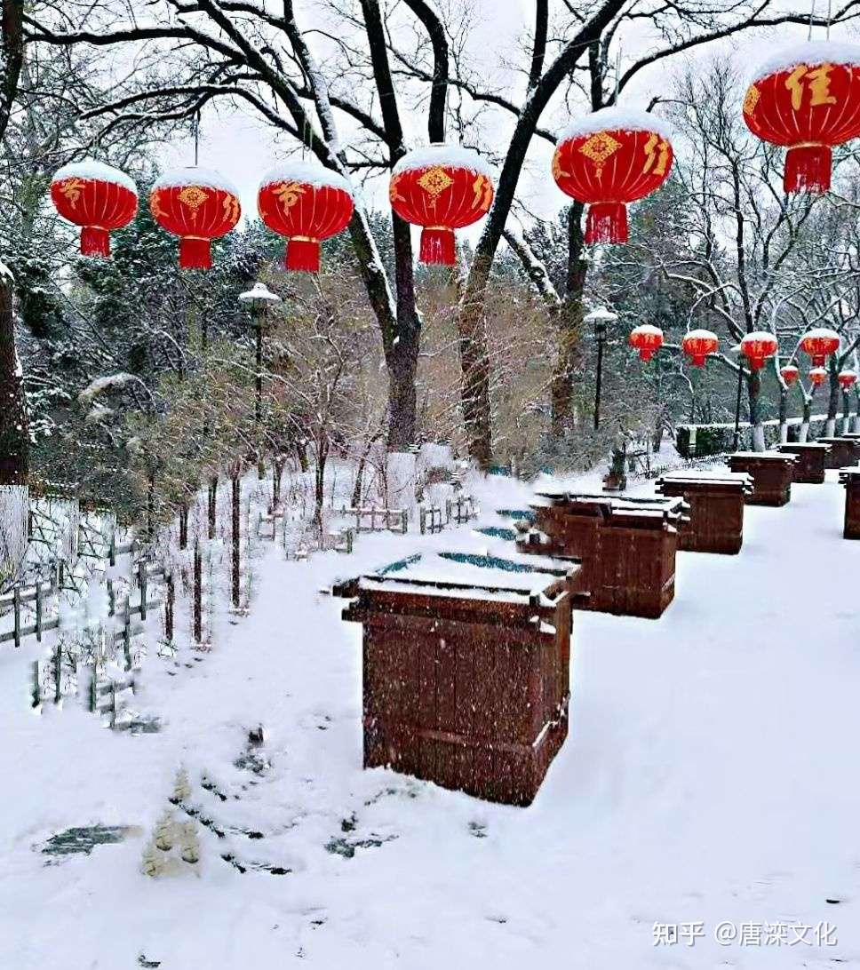 春后飘雪二月花 知乎