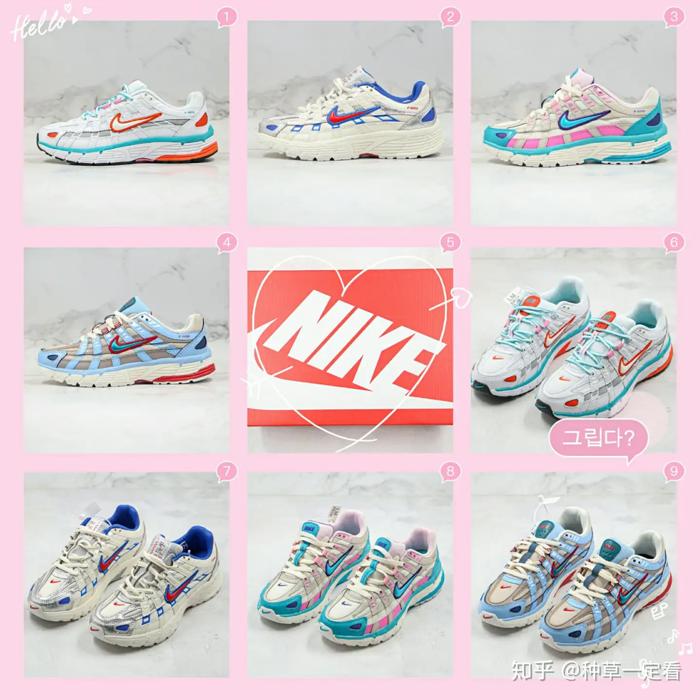 2019年完売品】NIKE P-6000-