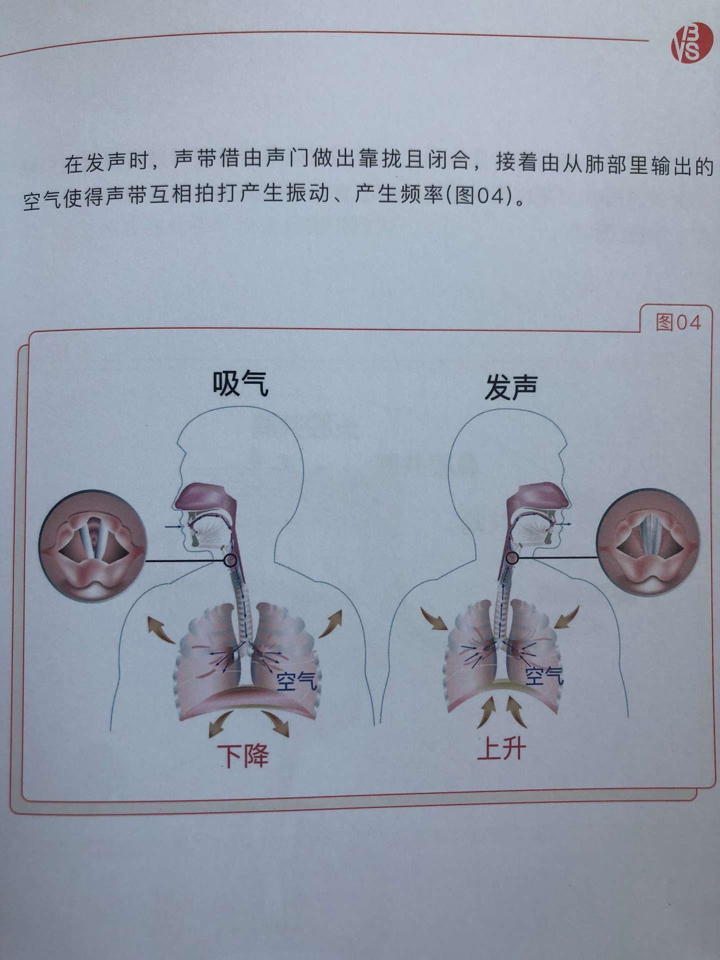 唱歌没有感情 其实解决的办法很简单 知乎