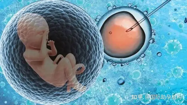 成都最大供卵机构（河北助孕机构哪家好？可以做供卵试管的）