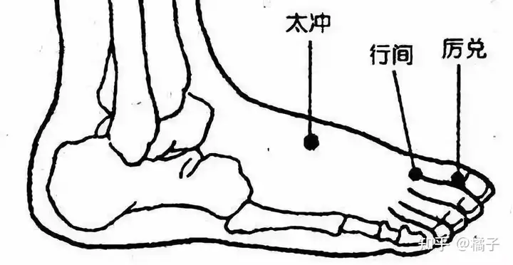 学到了吗(人体体质主要有哪些)人的体质有哪九种2023已更新(实时信息)-第6张图片-鲸幼网