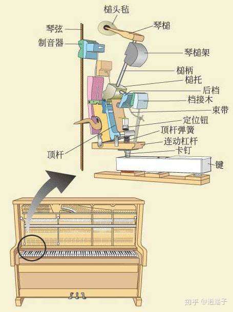 钢琴琴键弹下去起不来要怎么办