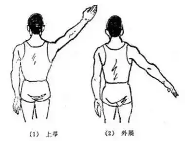 頭枕雙手法患者仰臥位,兩手十指交叉,掌心向上,放在頭後部,先使兩肘