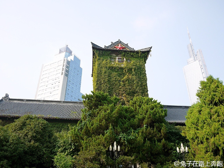 南京大学鼓楼校区里比较有名的或者风景不错的地方有哪些?