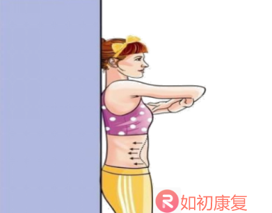 2,站立:抬头,挺胸,提臀,收腹,后脑勺,背部,臀部紧贴墙面,双脚距离墙面