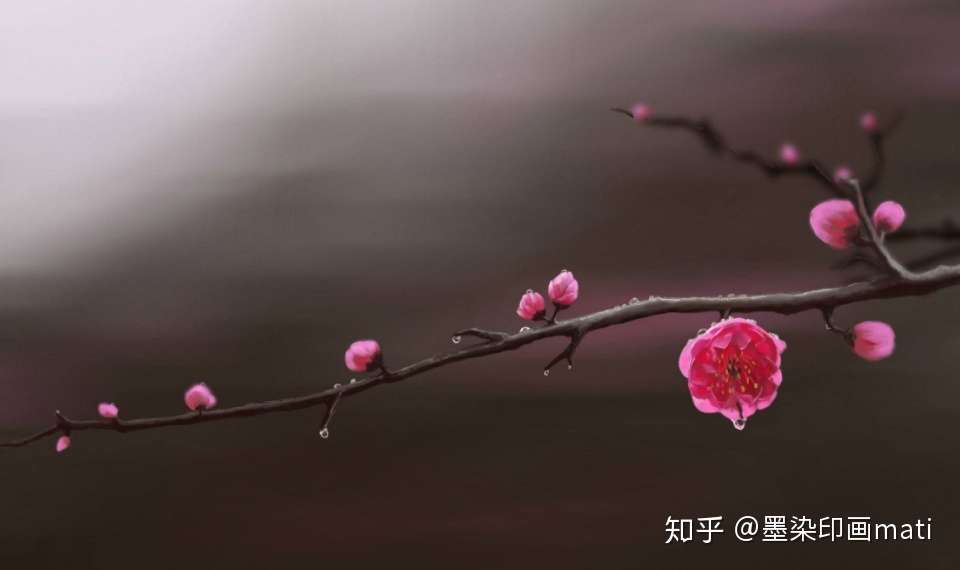 春日拍花背景如何处理？学会这6招，拍花更有诗意- 知乎