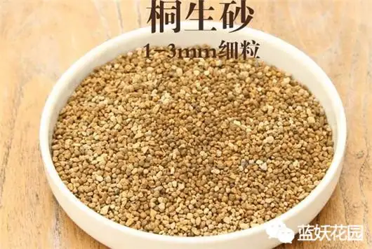 干货 养好花就要配好土 关于土这些知识 80 的人不知道 知乎