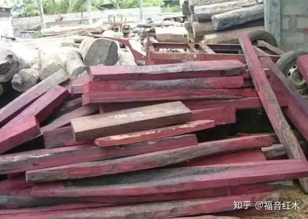 怎么可以错过（卢氏黑黄檀和阔叶黄檀哪种更好）卢氏黑黄檀为什么叫卢氏，红木百科--大叶紫檀（卢氏黑黄檀），深圳侦探公司电话，skrbt磁力，