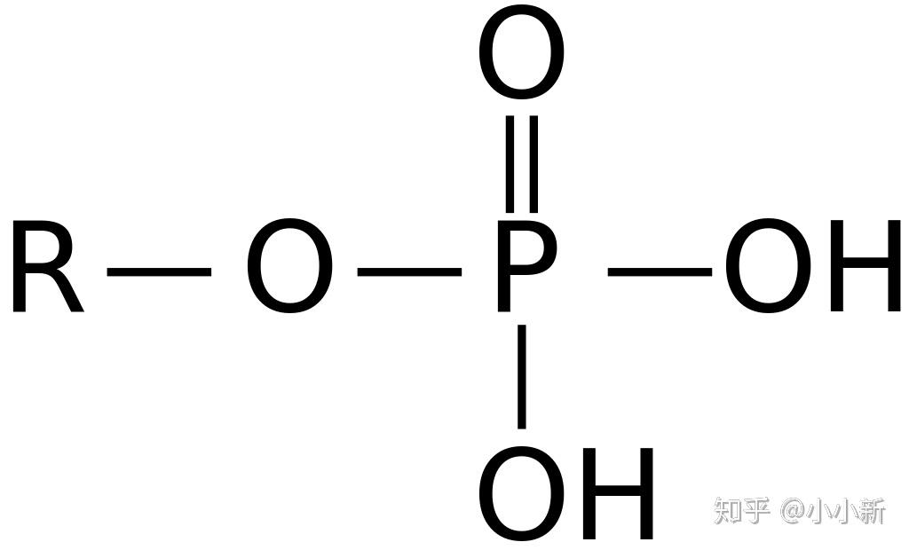 磷酸二酯键图片图片