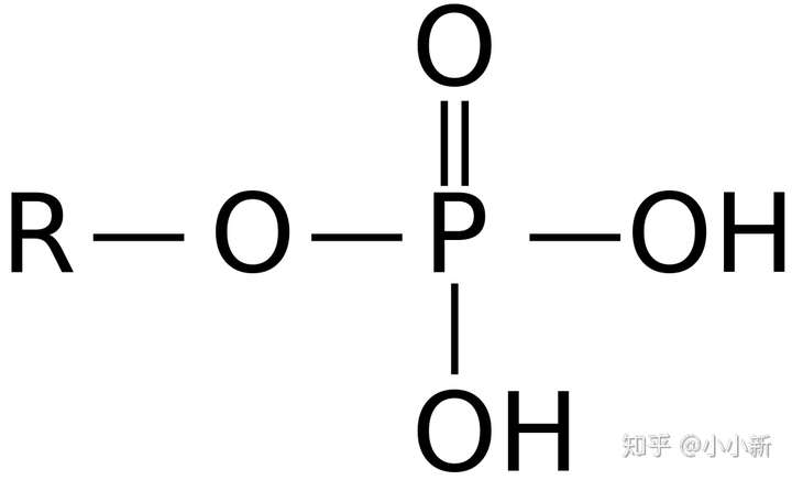 磷酸二脂键图片