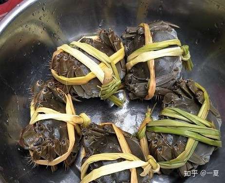 杀螃蟹的时候为什么看不到血