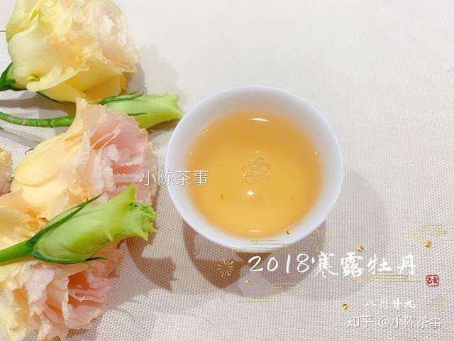 白茶春季 渡劫 做好这三点 避免受潮出现梅子味 知乎