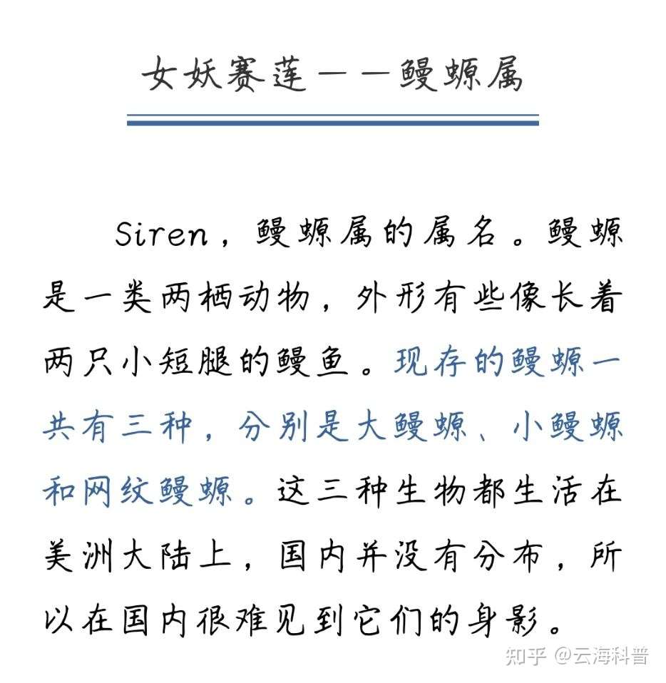 派大星 素贞环蛇 还有哪些你不知道的 神奇生物 知乎