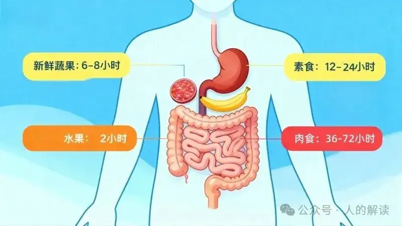 轻断食的奥秘，核心也是转化意识-人的解读