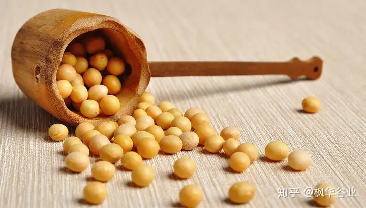 常吃黄豆对人有什么好处和需要注意的地方吗（青黄豆的功效与作用）