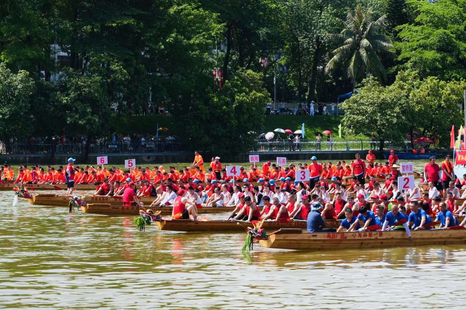 东莞万江龙舟第一景! | 被誉… - 知乎