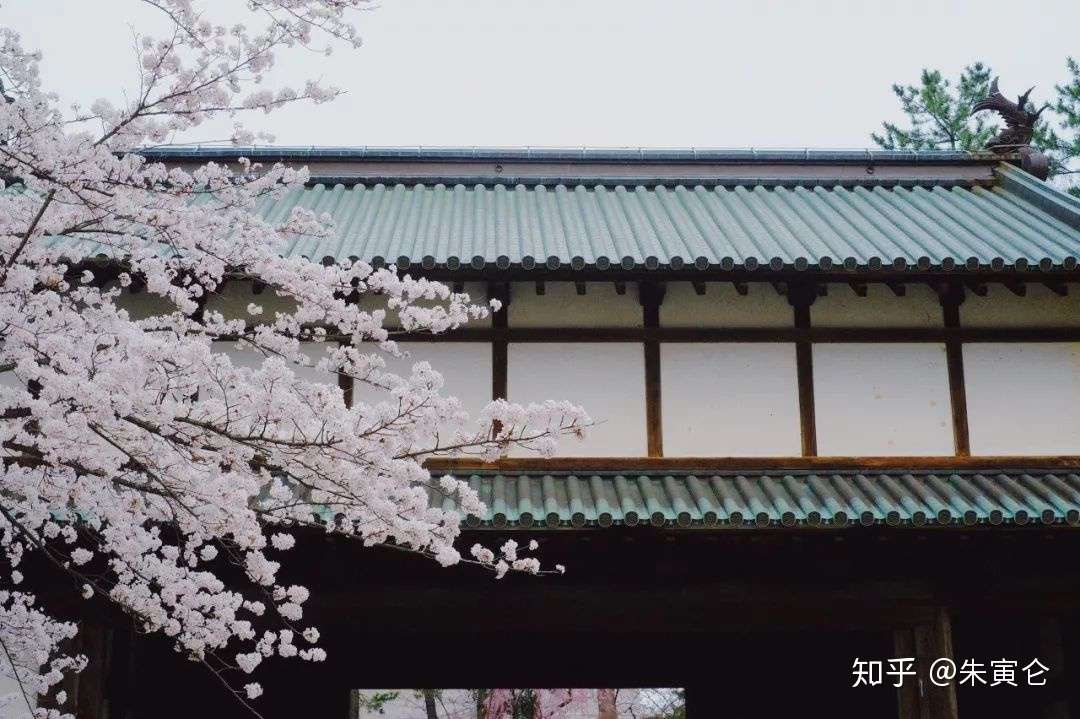 推荐一个冬天去日本刷三年多次签的好地方 雪景温泉一点不输北海道 知乎