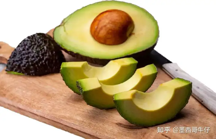 墨西哥的世界最著名水果——牛油果 - 墨华网 (图7)