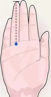 糖尿病指尖血糖检测应该测哪个手指头