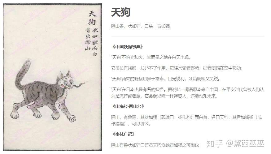 你一定不能错过的8个神仙级网站 知乎