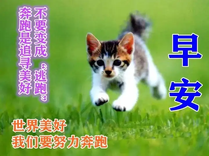 非常漂亮早安问候图片带字温馨，早晨问候语动态图片表情