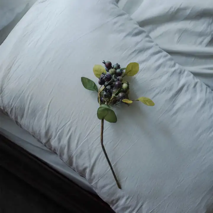 v2-8058a26db0729c74b691cf92ffb8ed7b_720w.jpg