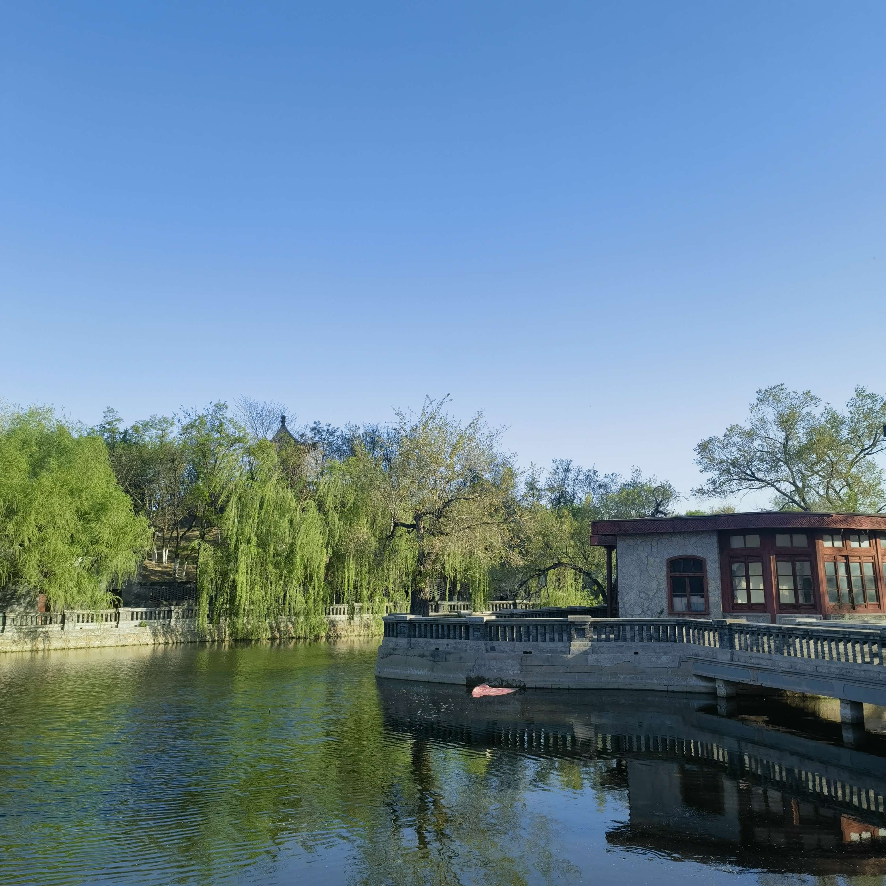 柳林 的想法: 天津久违的蓝天啊! - 知乎