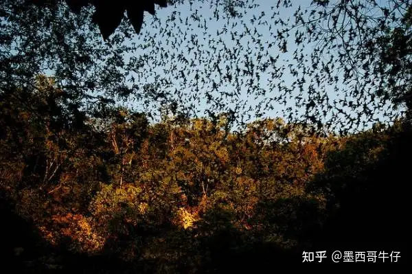 鲜为人知的墨西哥秘境 - 墨华网 (图34)