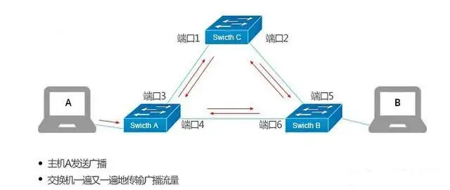 41564121168411-白漂资源网