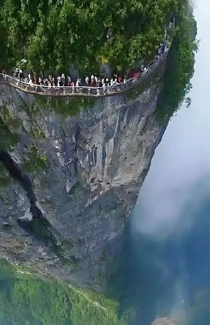 这个世界的魅力是什么?
