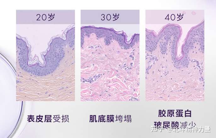 欧莱雅紫熨斗眼霜成分解析和个人真实使用感受 知乎